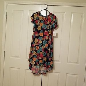 FINAL SALE Lularoe Carly Dress